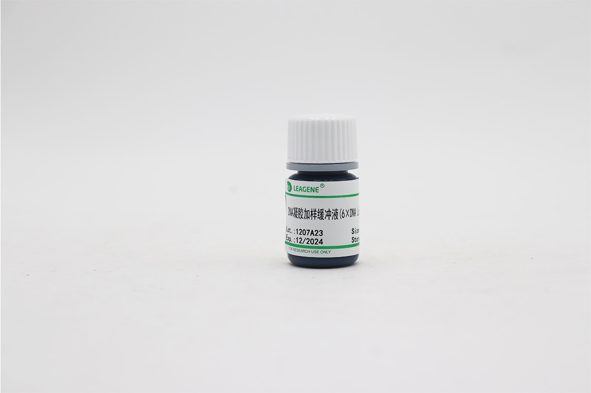 DNA凝胶加样缓冲液(6×DNA Loading Buffer)