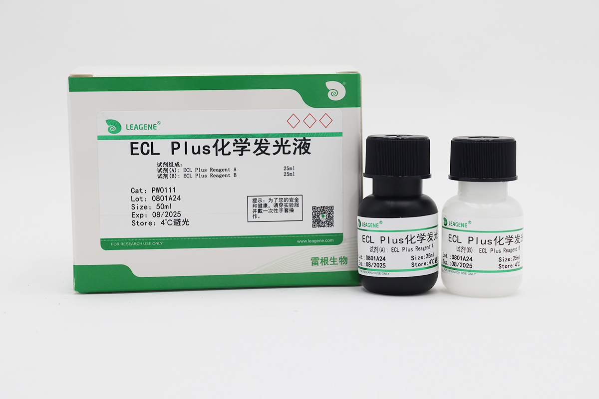 ECL Plus化学发光液